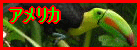 �A�����J�嗤�̖쒹